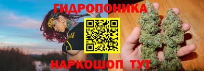 спиды Гусь-Хрустальный