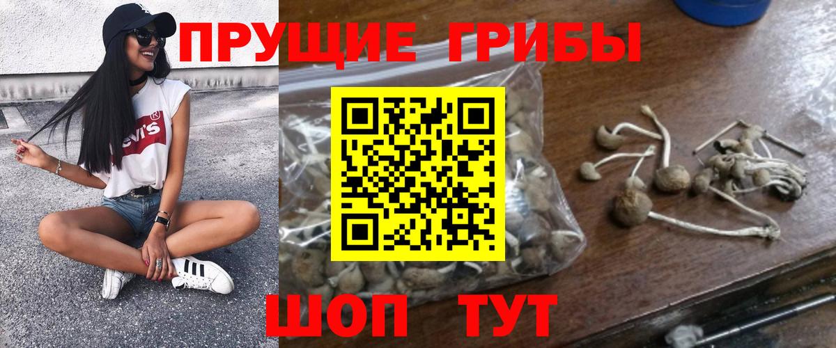 Псилоцибиновые грибы прущие грибы Качканар